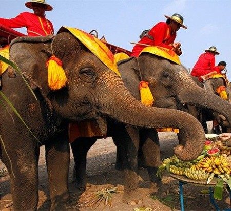 Laos, the Land of a million elephants