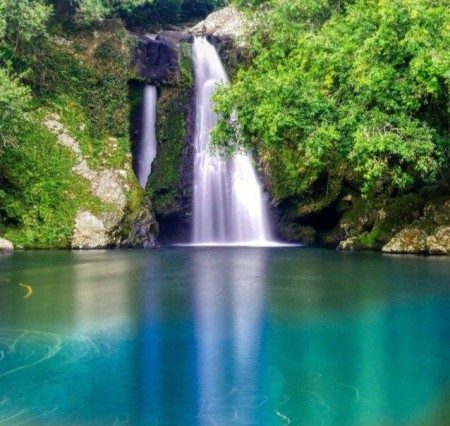 Visit La Réunion