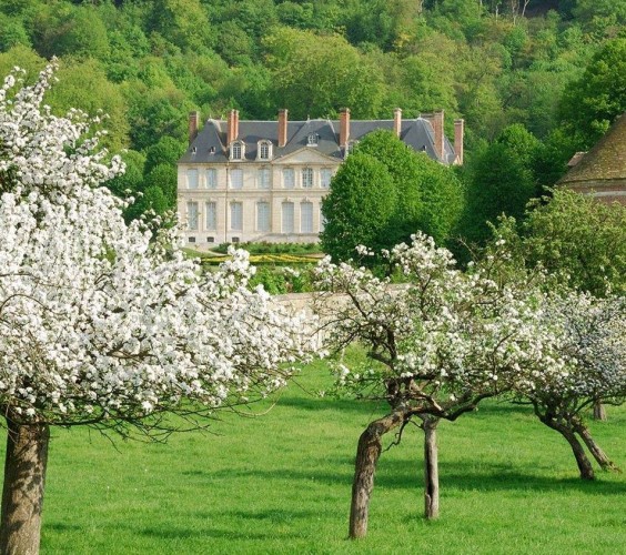 The apple: symbol of Normandy, back on its history