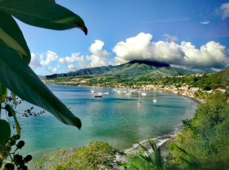 En Martinique, on chasse le crabe pour Pâques