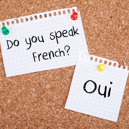 Qu’est-ce que l’Organisation Internationale de la Francophonie ?